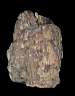 petrified wood0011.jpg